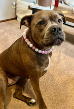 Load image into Gallery viewer, Pink Carnation Bead Collar