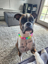 Load image into Gallery viewer, Neon Rainbow š Bead Collar