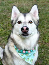 Load image into Gallery viewer, Cotton Candy Shine Bead Collar - SALE
