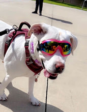 Load image into Gallery viewer, Lilac Glow Bead Collar