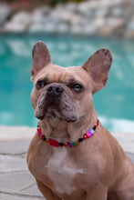 Load image into Gallery viewer, Red Blackjack Acrylic Bead Collar