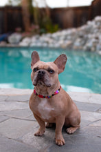 Load image into Gallery viewer, Red Blackjack Acrylic Bead Collar
