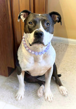 Load image into Gallery viewer, Moonlit Lavender Resin Bead Collar