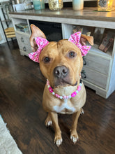 Load image into Gallery viewer, š¼ Pink Ombre Daisies š¼ Silicone Bead Collar