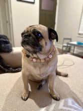 Load image into Gallery viewer, Rose Gold Champagne Bead Collar