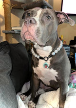 Load image into Gallery viewer, Sky Blue Resin Bead Collar
