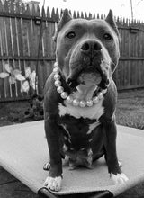 Load image into Gallery viewer, Classic White Pearls Acrylic Bead Collar