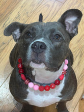 Load image into Gallery viewer, Strawberry Shortcake Bead Collar