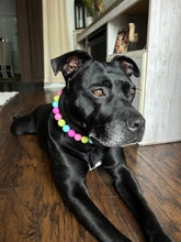 Load image into Gallery viewer, Neon Candyland Bead Collar