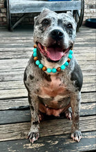 Load image into Gallery viewer, Malibu Waves Acrylic Bead Collar