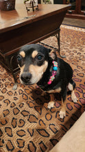 Load image into Gallery viewer, Retro Groovy š¼ Bead Collar