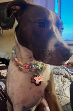 Load image into Gallery viewer, š¦ Y2K Butterfly Bead Collar