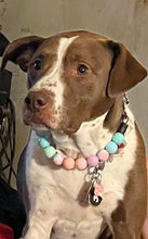 Load image into Gallery viewer, Pastel Stars ⭐️ Acrylic Bead Collar