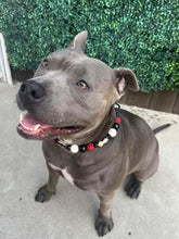 Load image into Gallery viewer, Pennywise Bead Collar