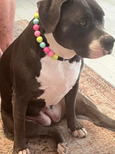 Load image into Gallery viewer, Neon Candyland Bead Collar