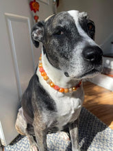 Load image into Gallery viewer, Autumn Leaves š Bead Collar