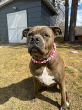 Load image into Gallery viewer, š¼ Pink Ombre Daisies š¼ Silicone Bead Collar