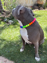 Load image into Gallery viewer, Rainbow Colorblock š Bead Collar