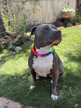 Load image into Gallery viewer, Rainbow Colorblock š Bead Collar