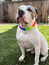 Load image into Gallery viewer, Rainbow Colorblock š Bead Collar