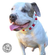 Load image into Gallery viewer, š§ 20" Slip On (Black O-Ring) Candy Cane Glam Bead Collar - PRE-MADE/FINAL SALE