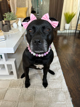 Load image into Gallery viewer, Pink Carnation Bead Collar