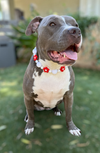 Load image into Gallery viewer, Red & White Daisies (Jumbo) Glam Bead Collar