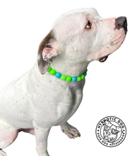 Load image into Gallery viewer, Neon Tropic Glow Acrylic Bead Collar