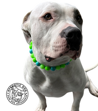 Load image into Gallery viewer, Neon Tropic Glow Acrylic Bead Collar
