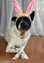 Load image into Gallery viewer, Pink Champagne Bead Collar
