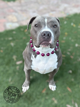 Load image into Gallery viewer, Burgundy Luxe Bead Collar
