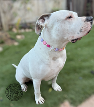 Load image into Gallery viewer, Fruit Punch Hearts Bead Collar