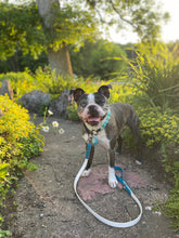 Load image into Gallery viewer, Turquoise & Cerulean Biothane Leash ◻️