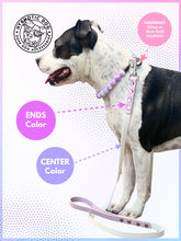 Load image into Gallery viewer, Lavender & White Biothane Leash ◻️