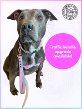 Load image into Gallery viewer, Lavender & White Biothane Leash ◻️