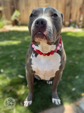 Load image into Gallery viewer, Strawberry Shortcake Bead Collar