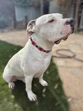 Load image into Gallery viewer, Red Blackjack Acrylic Bead Collar