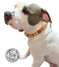 Load image into Gallery viewer, Autumn Leaves š Bead Collar