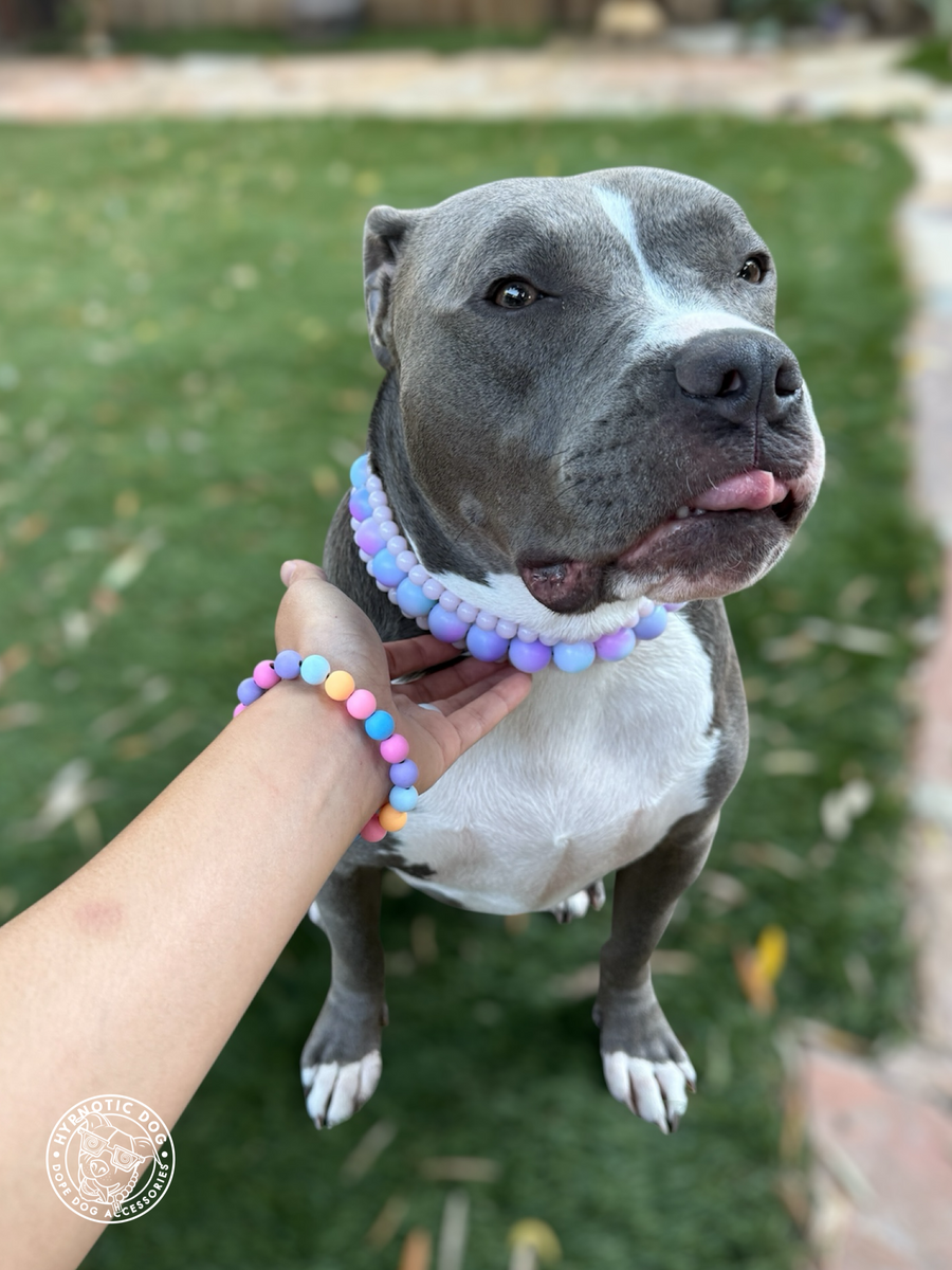 XS Bead Personalized Bracelet – Hypnotic Dog