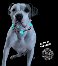 Load image into Gallery viewer, Orange Boo š» Halloween Glow Bead Collar
