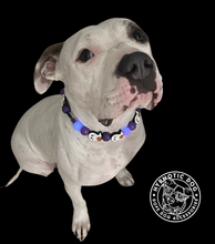 Load image into Gallery viewer, Purple Boo š» Halloween Glow Bead Collar