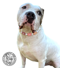 Load image into Gallery viewer, š¼ Vintage Daisies š¼ Silicone Bead Collar