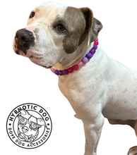 Load image into Gallery viewer, Raspberry Sugar Bead Collar