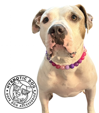 Load image into Gallery viewer, Raspberry Sugar Bead Collar