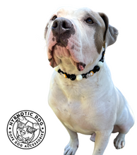 Load image into Gallery viewer, Pennywise Bead Collar