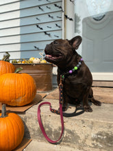 Load image into Gallery viewer, Hunter Green & Dark Brown Biothane Leash ◻️