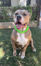Load image into Gallery viewer, Electric Lime Green Acrylic Bead Collar