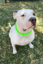 Load image into Gallery viewer, Electric Lime Green Acrylic Bead Collar