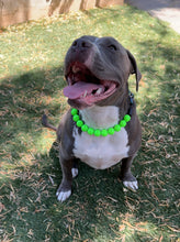 Load image into Gallery viewer, Electric Lime Green Acrylic Bead Collar