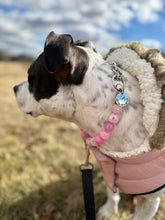 Load image into Gallery viewer, Dog Engraved Circle Name Tags
